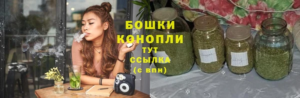 PSILOCYBIN Алексин