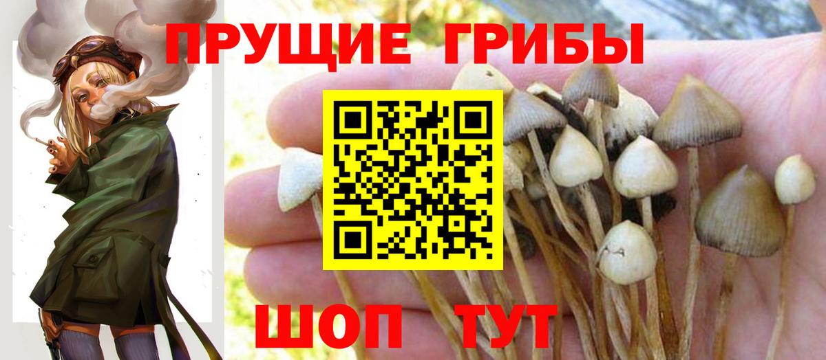 Галлюциногенные грибы мухоморы Алексеевка