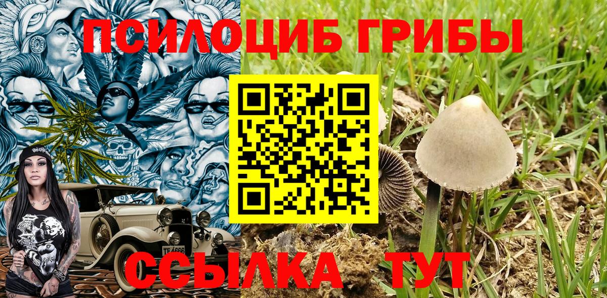 Псилоцибиновые грибы Psilocybine cubensis  сколько стоит  Псилоцибиновые грибы MAGIC MUSHROOMS  Алексеевка  Вход с VPN 
